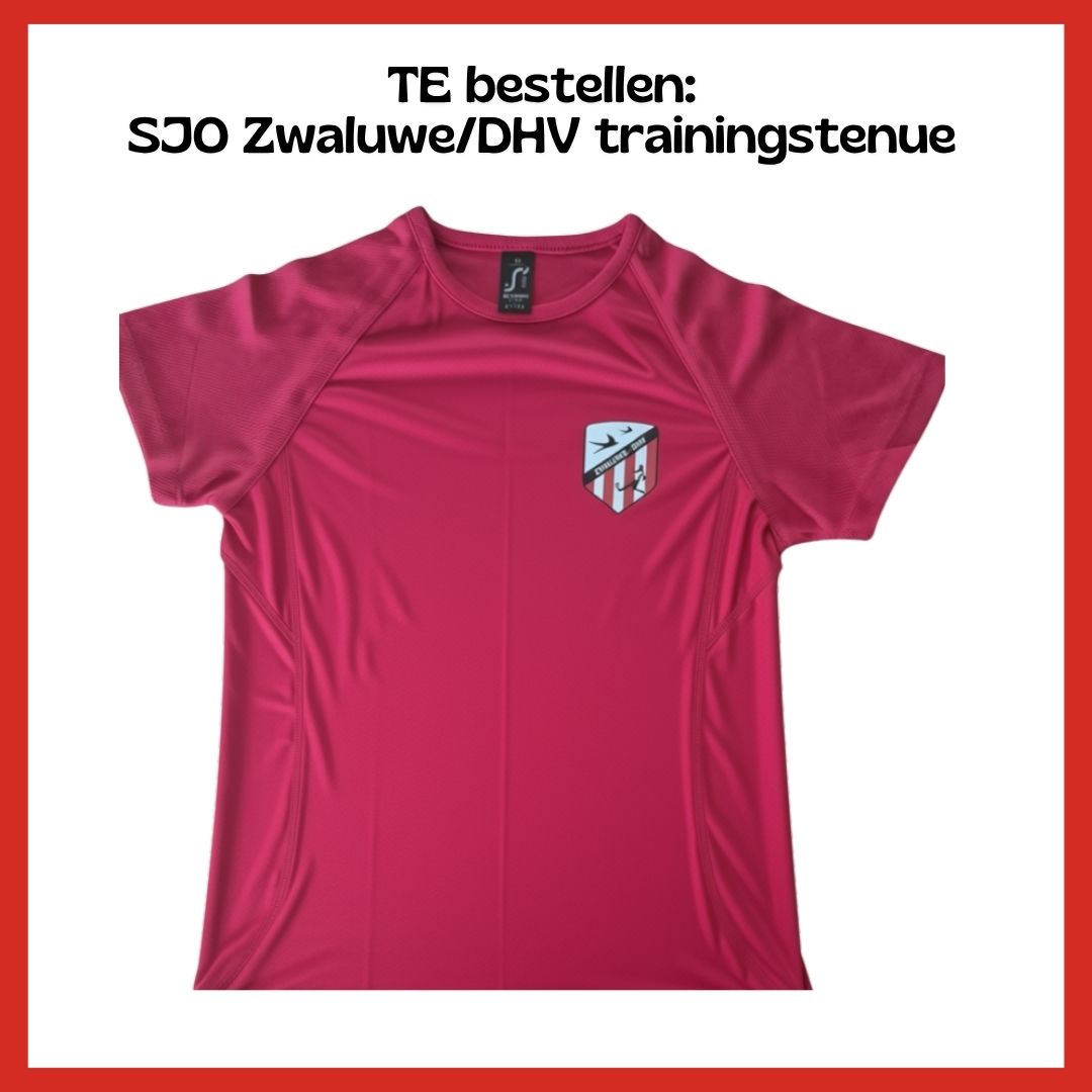 SJO Zwaluwe/DHV Trainingstenue